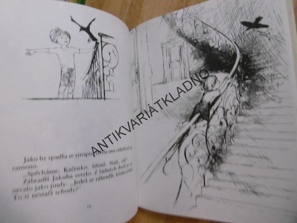 OBR-DOBR PEJSÁNEK A ZTRACENÝ DŮM, MILENA LUKEŠOVÁ, 1983, **an