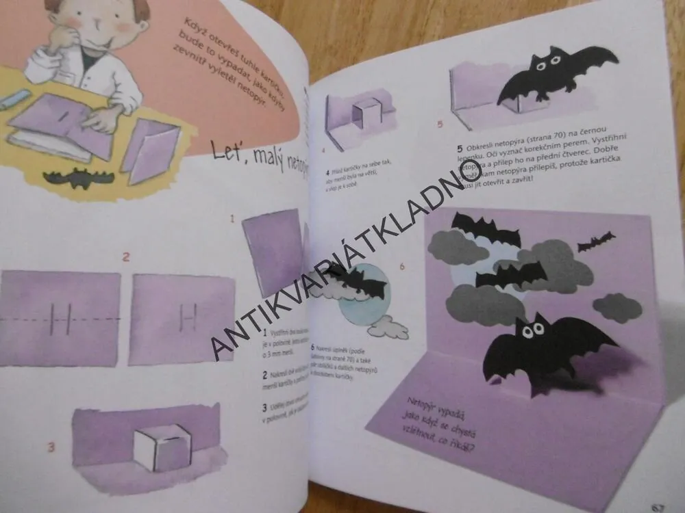 NAUČ SE TVOŘIT KOLÁŽE A PŘÁNÍČKA Z PAPÍRU, ROSA M. CURTO, HOBBY, KUTILSTVÍ, **an