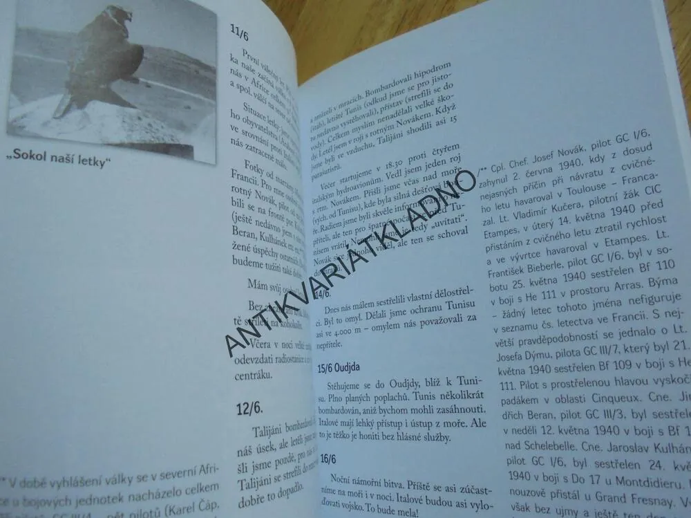 KE HVĚZDÁM A DO MRAKŮ, Z VÁLEČNÝCH DENÍKŮ,VESELÝ