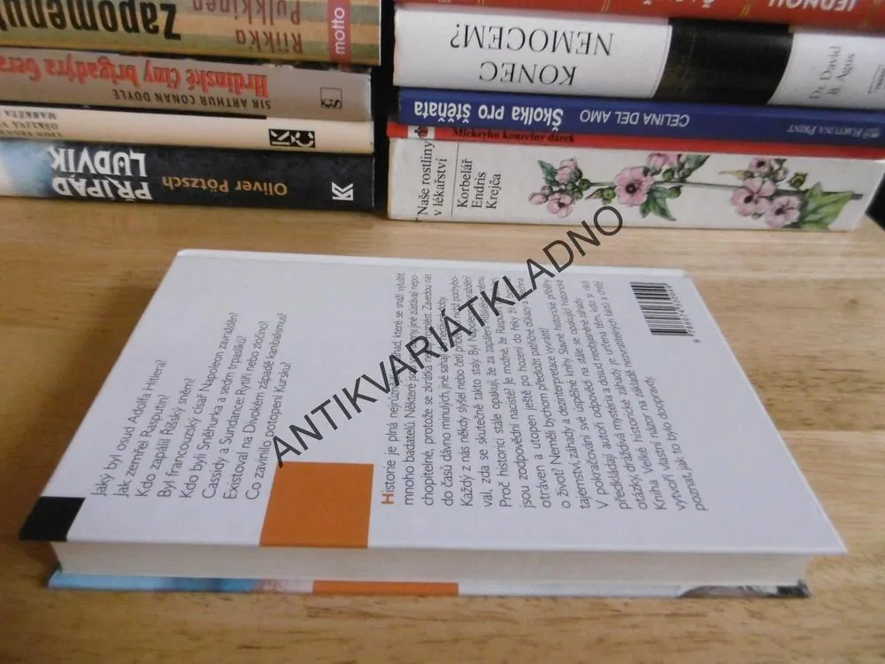 VELKÉ HISTORICKÉ ZÁHADY, JAK TO BYLO DOOPRAVDY? II., ED RAYNER, RON STANLEY, **an
