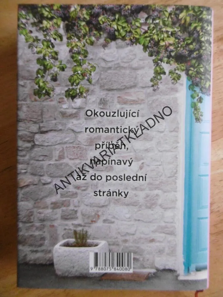 POHŘEŠOVANÁ MANŽELKA, SHEILA O´FLANAGANOVÁ, **an