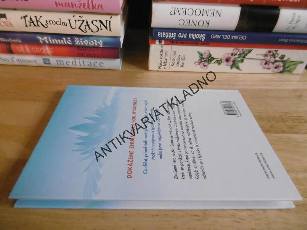 MEDITACÍ K IDEÁLNÍ VÁZE, SUSANNĚ HÜHNOVÁ, **an