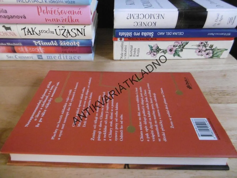 JEDNOU ČASNĚ ZRÁNA, VIRGINIA BAILYOVÁ, **an