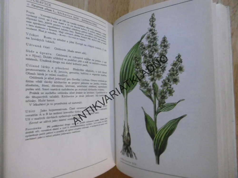NAŠE ROSTLINY V LÉKAŘSTVÍ, KORBELÁŘ, ENDRIS, KREJČA, **an