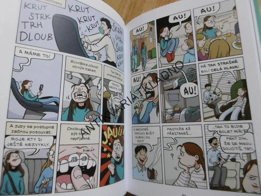ÚSMĚV, KOMIKSOVÝ BESTSELLER, KOMIKS, RAINA TELGEMEIEROVÁ, **an