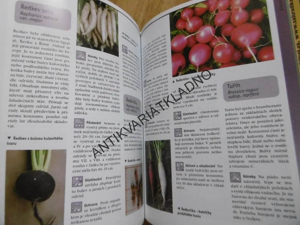 ZELENINA Z VLASTNÍ ZAHRADY, KŘESADLOVÁ, VILÍM, **an