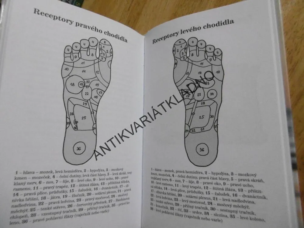 LÉČIVÉ DOTYKY, 4 TERAPIE PRO KAŽDÝ DEN, JOSEF SCHRÖTTER, **an