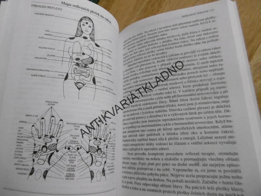 VŠECHNY ŽENY JSOU LÉČITELKY, DIANE STEIN, LÉČITELSTVÍ, **an