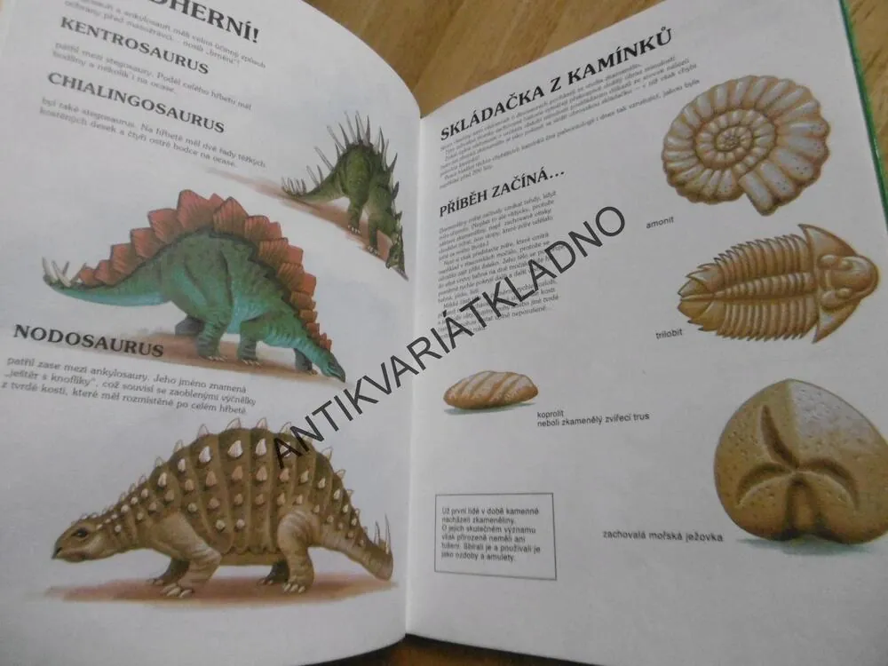 SVĚT DINOSAURŮ, GLYNIS LANGLEY, MIKE ATKINSON, **an