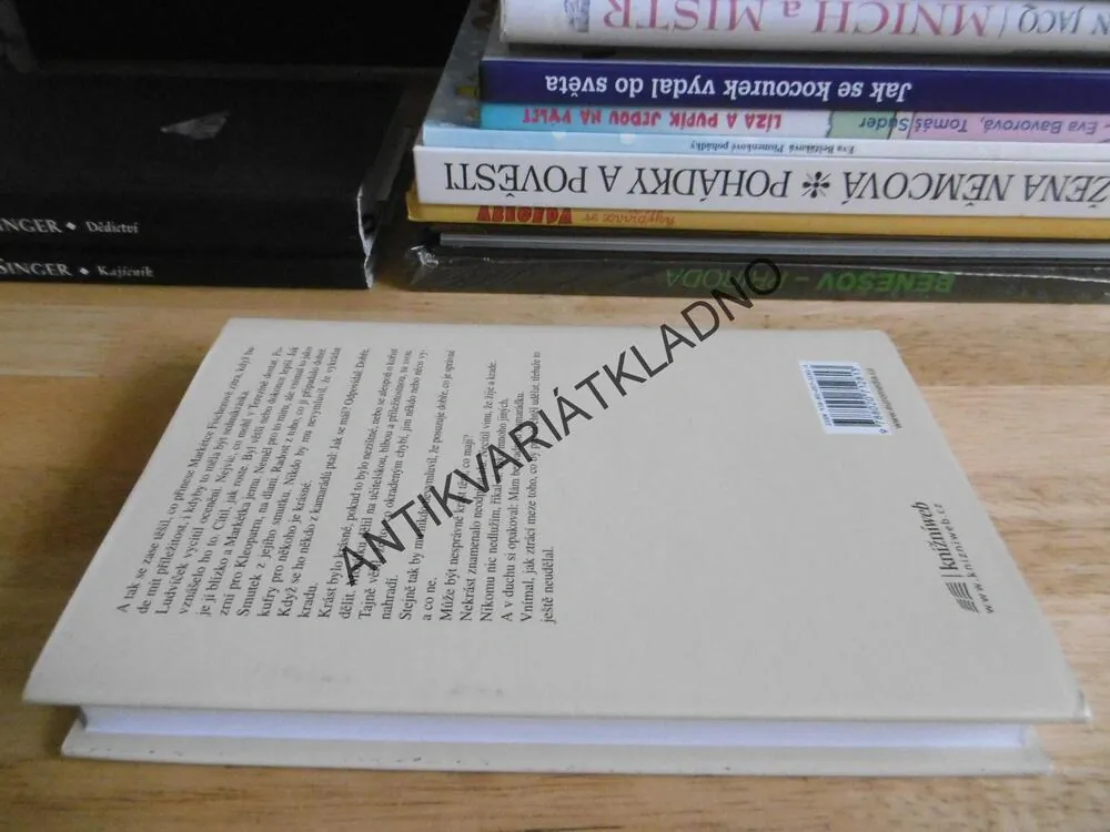 ZLODĚJ KUFRŮ, ARNOŠT LUSTIG, **an
