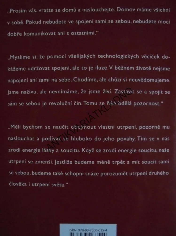 UMĚNÍ SDÍLET, THICH NHAT HAHN