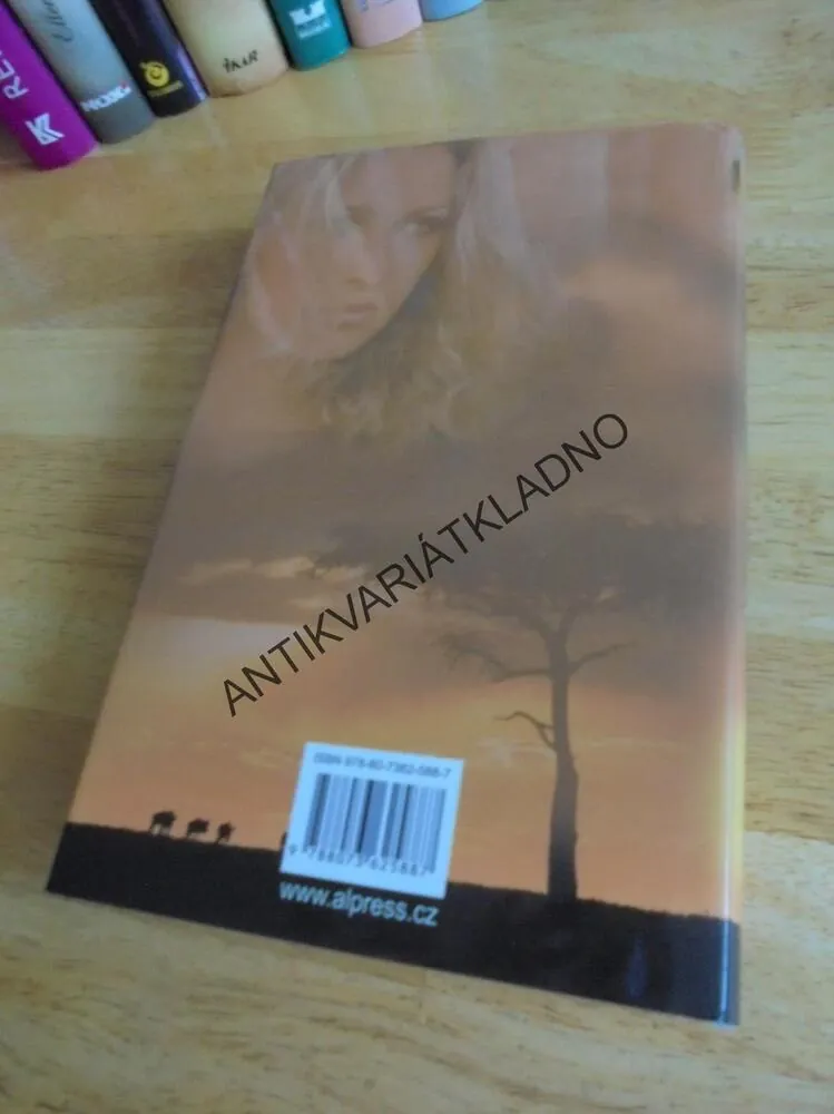 STÍN AFRICKÉHO SLUNCE, KERSTIN CAMERON