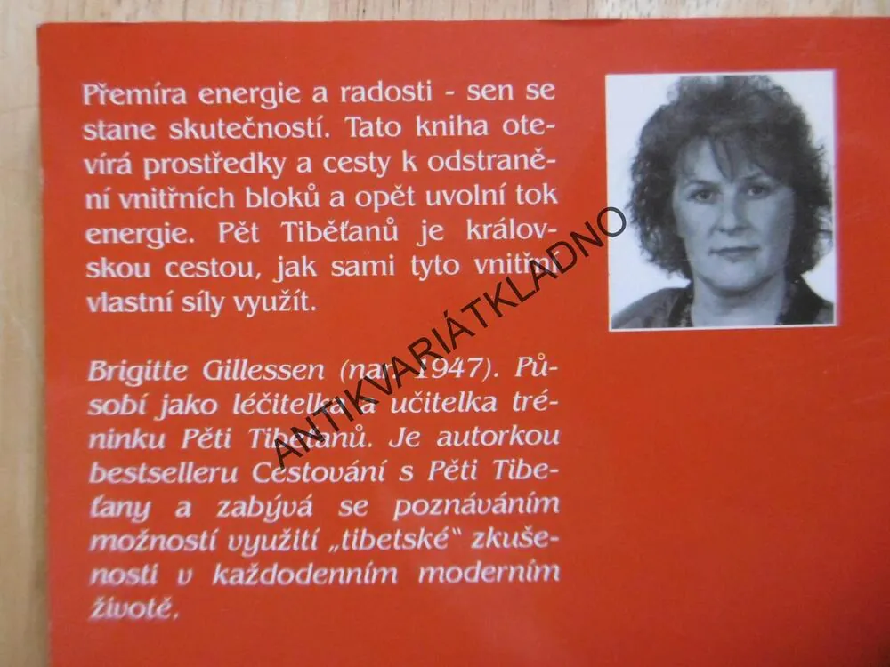 ENERGETICKÝ PROGRAM PĚTI TIBEŤANŮ, PĚT TIBEŤANŮ, BRIGITTE GILLESSEN, **an
