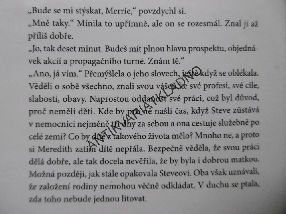 NEODOLATELNÉ SÍLY, DANIELLE STEEL, **an