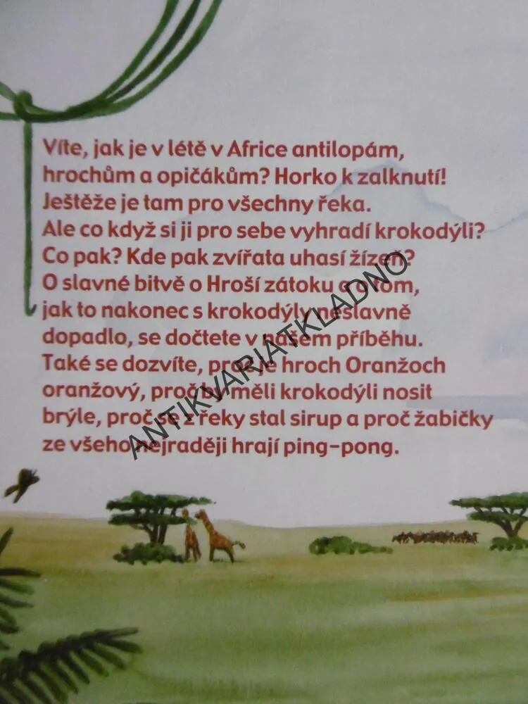SLUNEČNÍ HROCH ORANŽOCH, MIROSLAV ADAMEC, **an