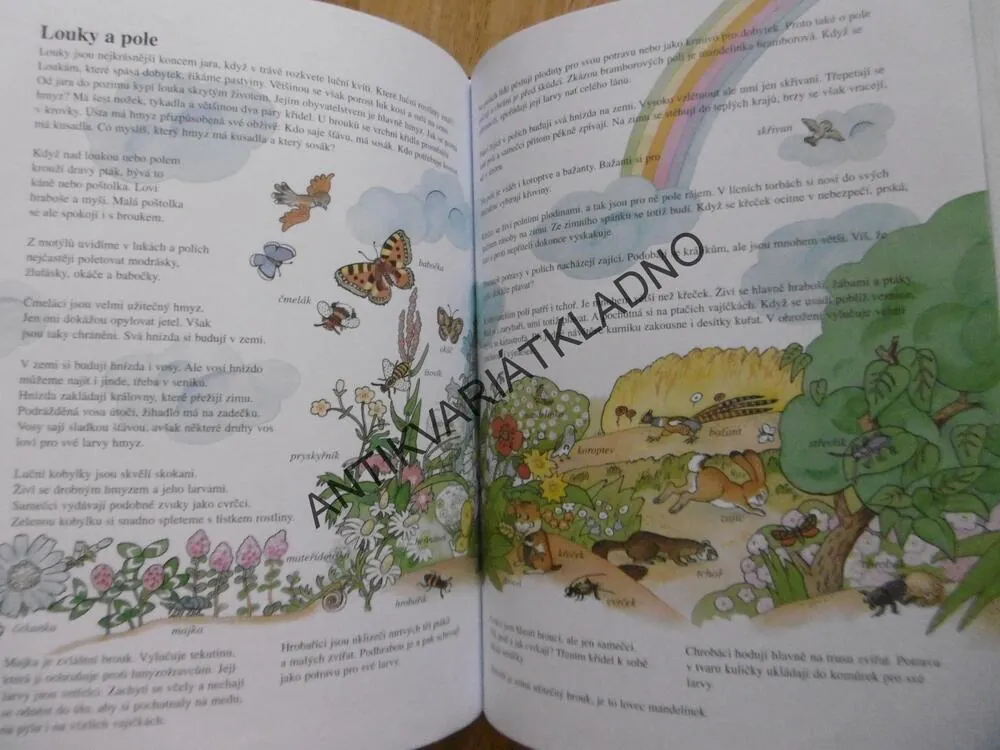 KNÍŽKA PRO ADAMA A EVU, MILADA KOUTNÁ, Á, DAGMAR JEŽKOVÁ, **an