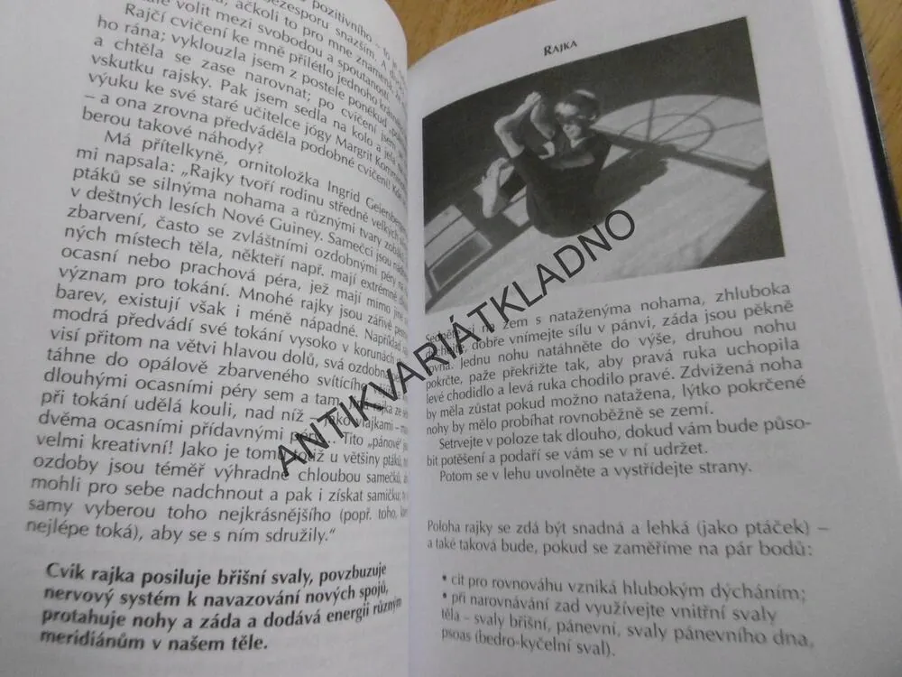 LUNÁRNÍ JÓGA ANEB ŽENA V POHYBU PO CELÝ ROK, ADELHEID OHLIGOVÁ,