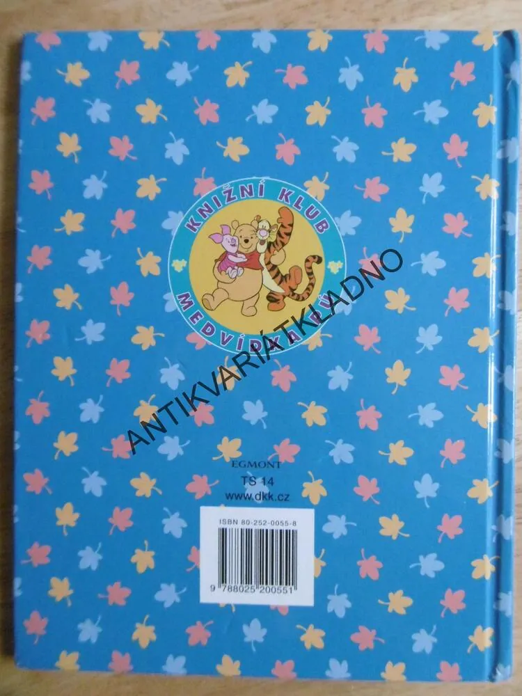 MEDVÍDEK PÚ, BOUŘLIVÉ NAROZENINY, WALT DISNEY, **an