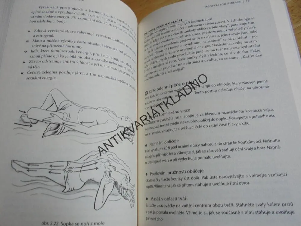 TAOISTICKÁ TANTRA PRO ŽENY MINKE DEVOS,SEX,EROTIKA
