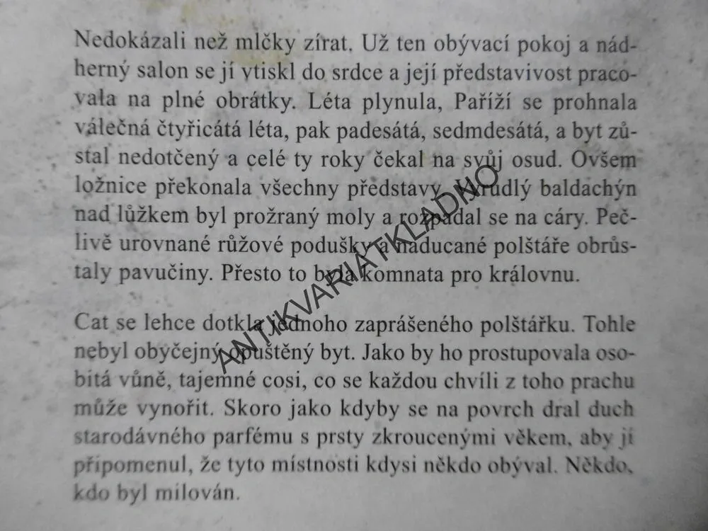 UZAMČENÁ MINULOST, ELLA CAREYOVÁ, **an