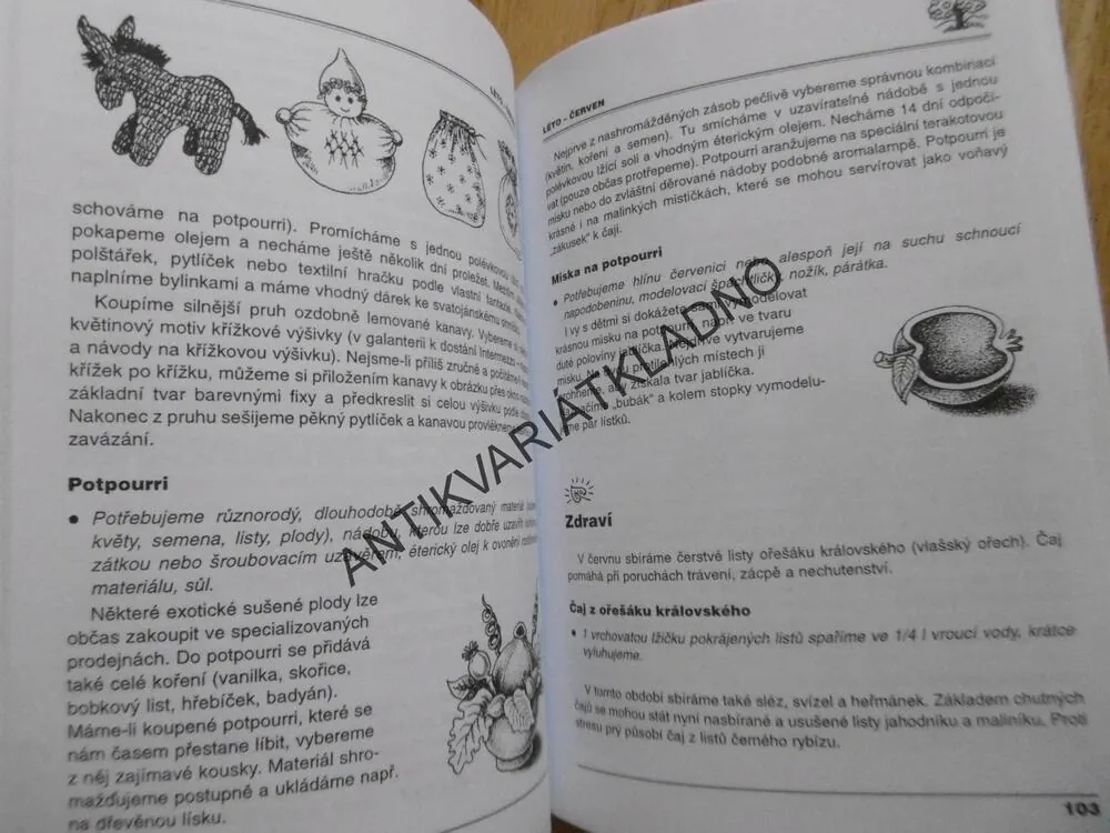 NÁPADY PRO MAMINKY NA MATEŘSKÉ DOVOLENÉ, HANA DOLEŽALOVÁ, **an