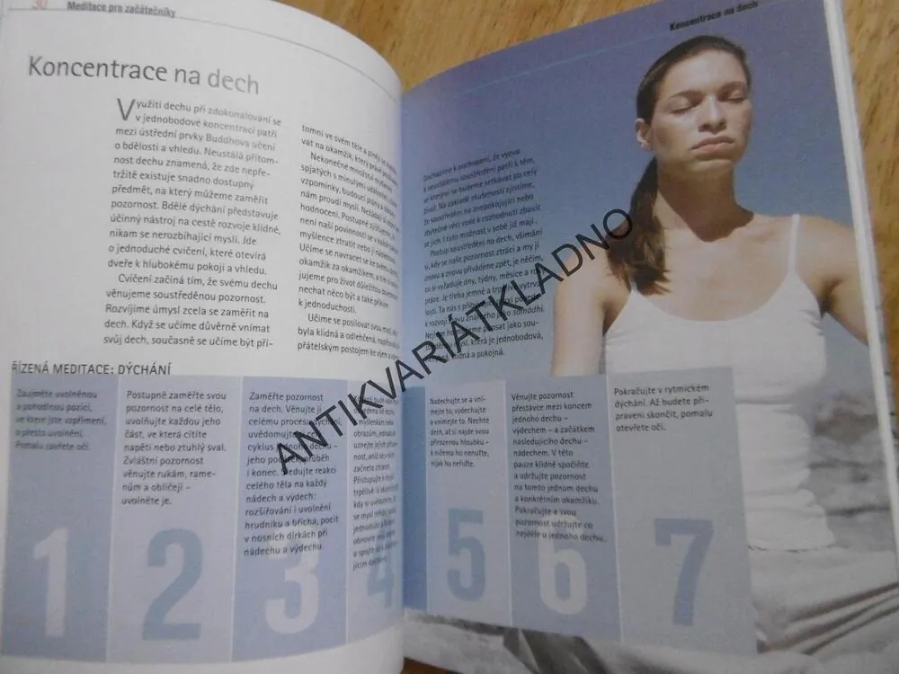 MEDITACE, VČETNĚ CD, **an