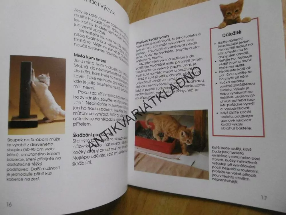 KOČKA BYDLÍ S NÁMI, KOČKA,PRŮVODCE PRO MLADÉ CHOVATELE, HELENA PIERSOVÁ, **an