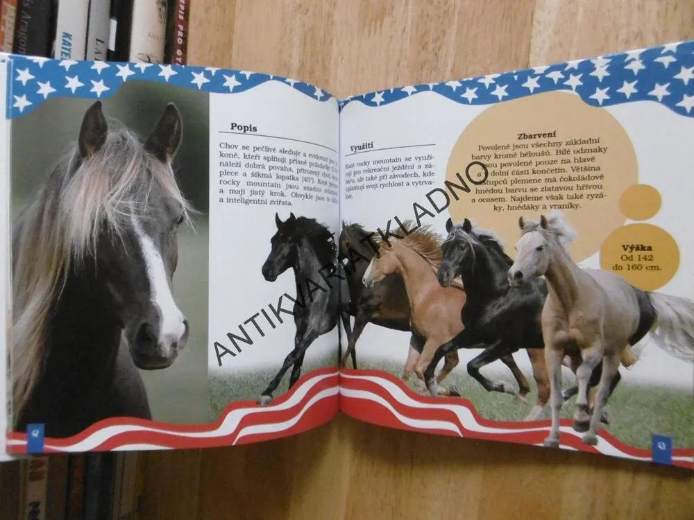 AMERIČTÍ KONĚ SNŮ, **an