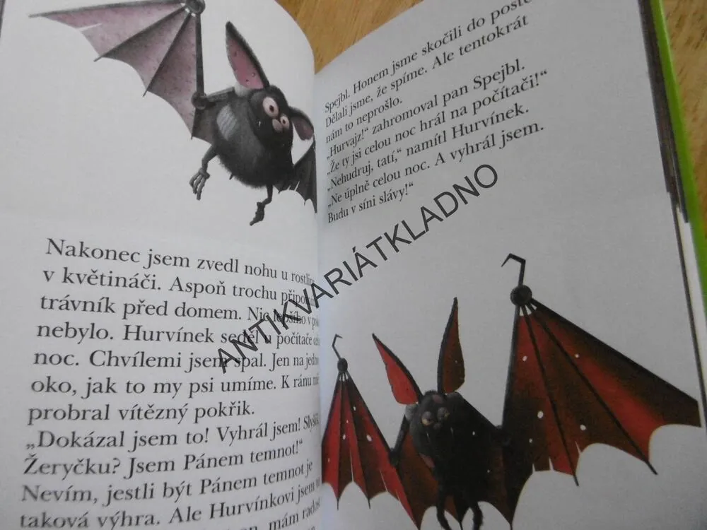 HURVÍNEK A KOUZELNÉ MUZEUM, IVONA BŘEZINOVÁ, **an