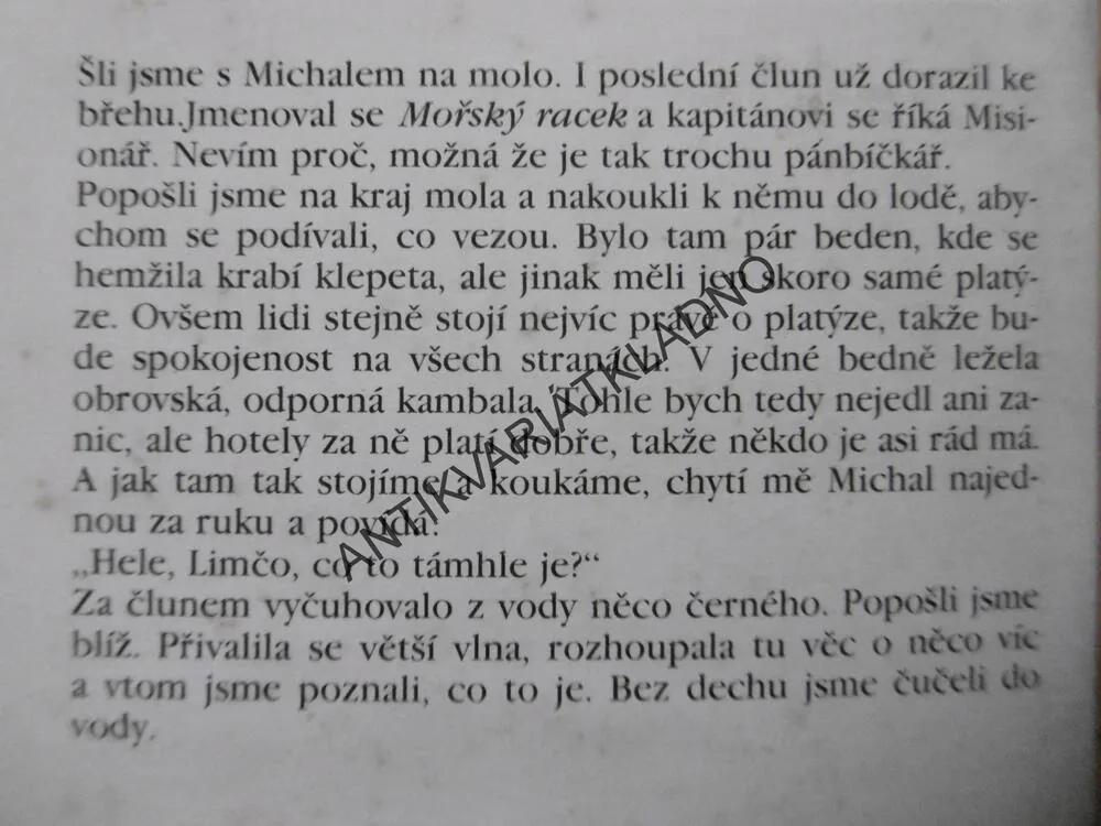 LIMČA, KIRSTEN HOLSTOVÁ, **an