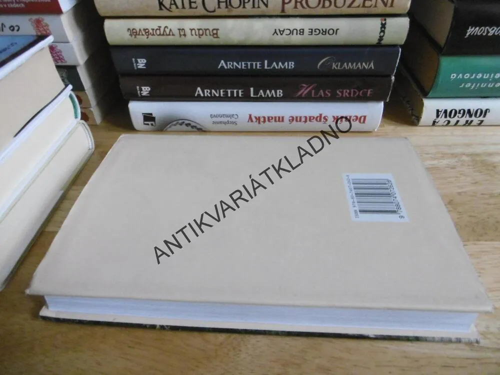 TAJNOSTI PAŘÍŽE, KATIA CHAPOUTIEROVÁ, **an