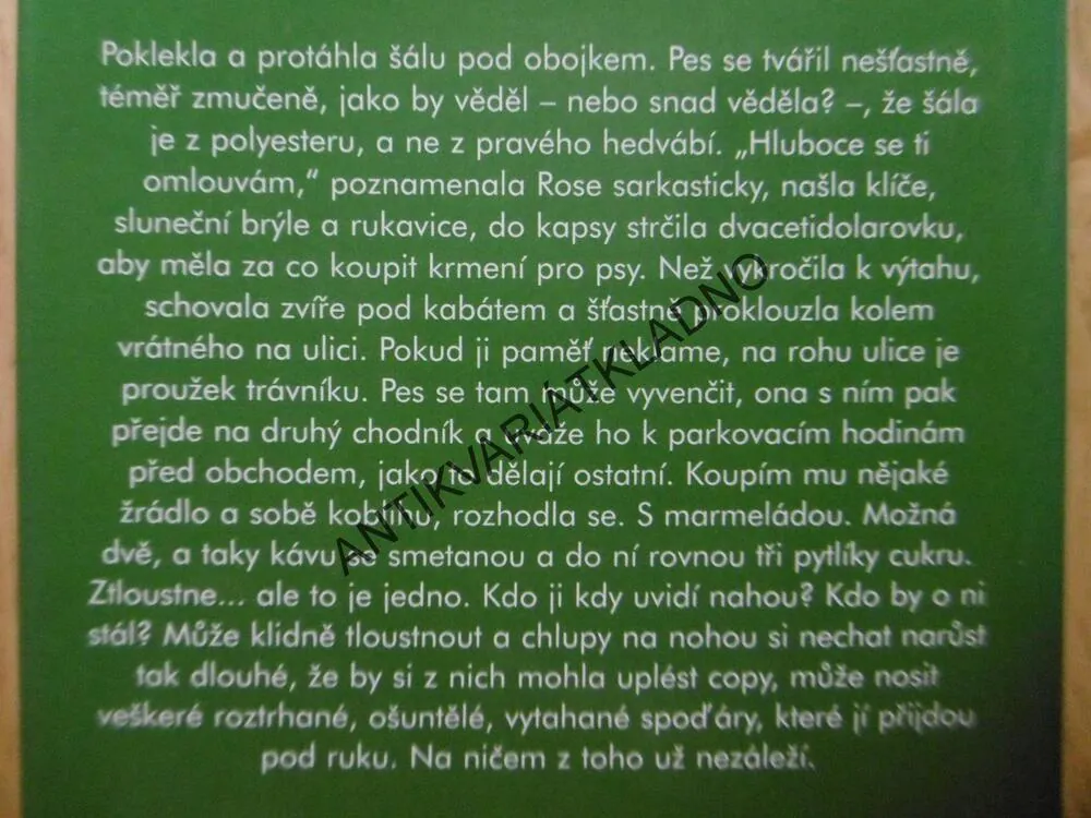 ZNÁ JI JAKO SVÝ BOTY, JENNIFER WEINEROVÁ, **an