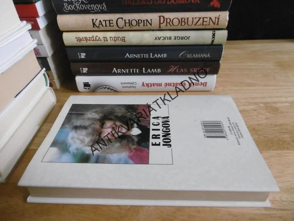 STRACH ZVLÉTNOUT, ERICA JONGOVÁ, **an