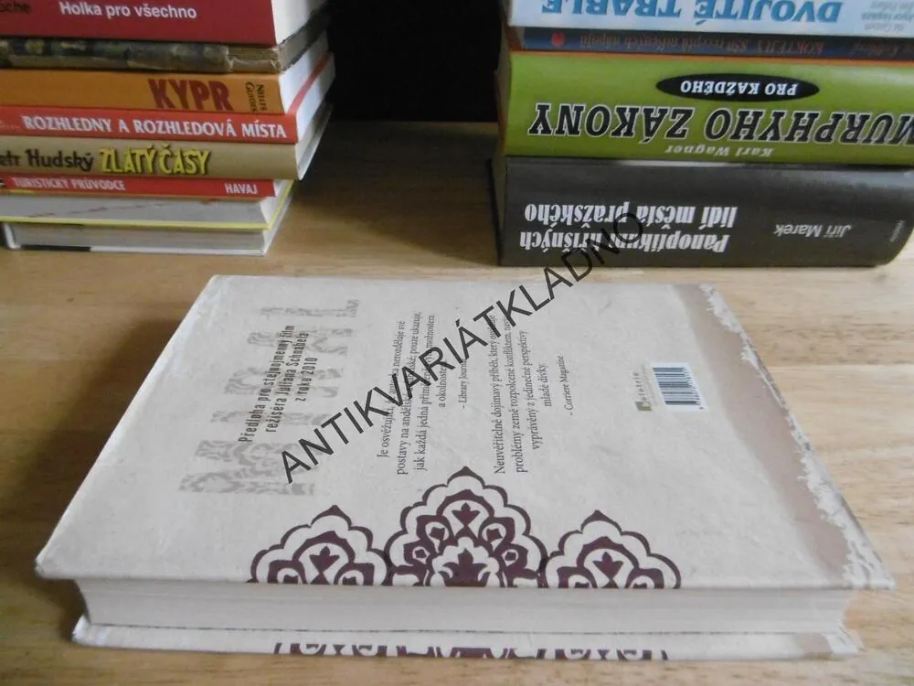 MIRAL, RULA JEBREALOVÁ, **an
