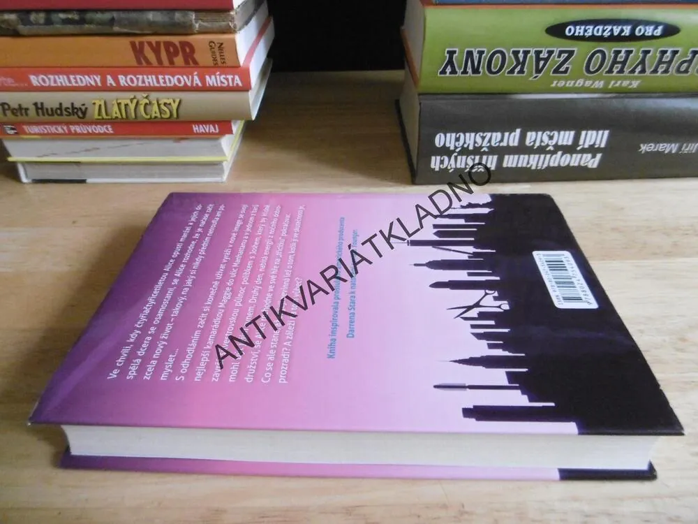 OD ZÍTŘKA BUDU SEXY TŘICÍTKA, PAMELA REDMOND SATRANOVÁ, **an