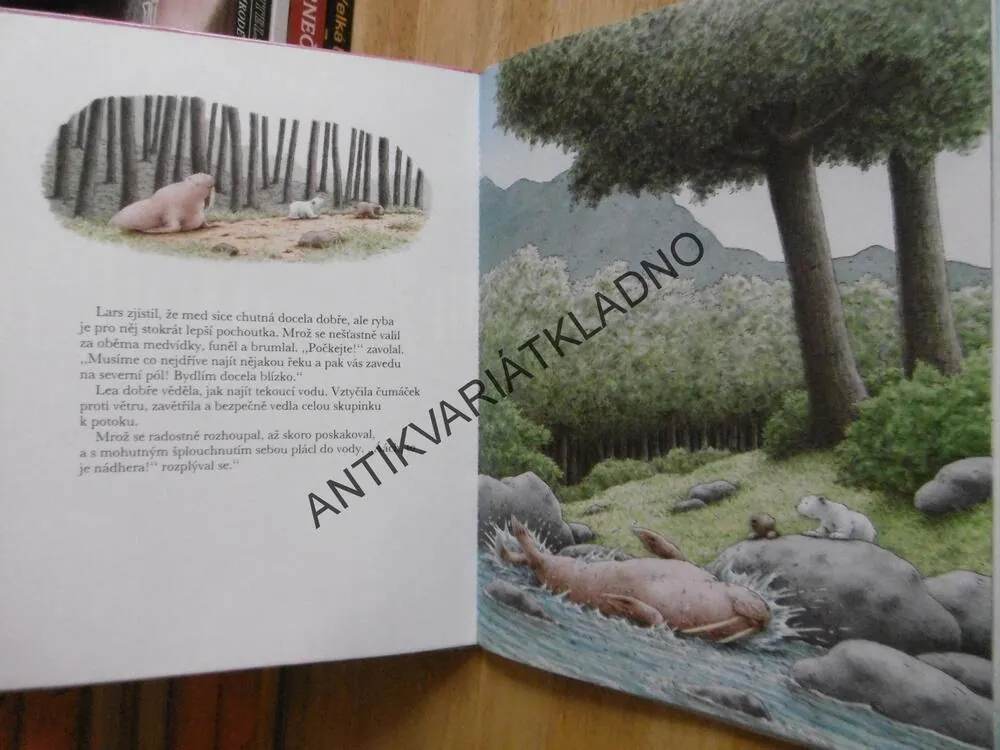LEDNÍ MEDVÍDKU, VEZMI MĚ SEBOU! HANS DE BEER, **an
