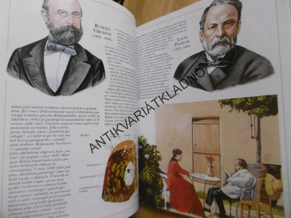 SLAVNÍ LÉKAŘI, LESNÝ, ZAHRADNÍČEK, ŘÍZEK, **an