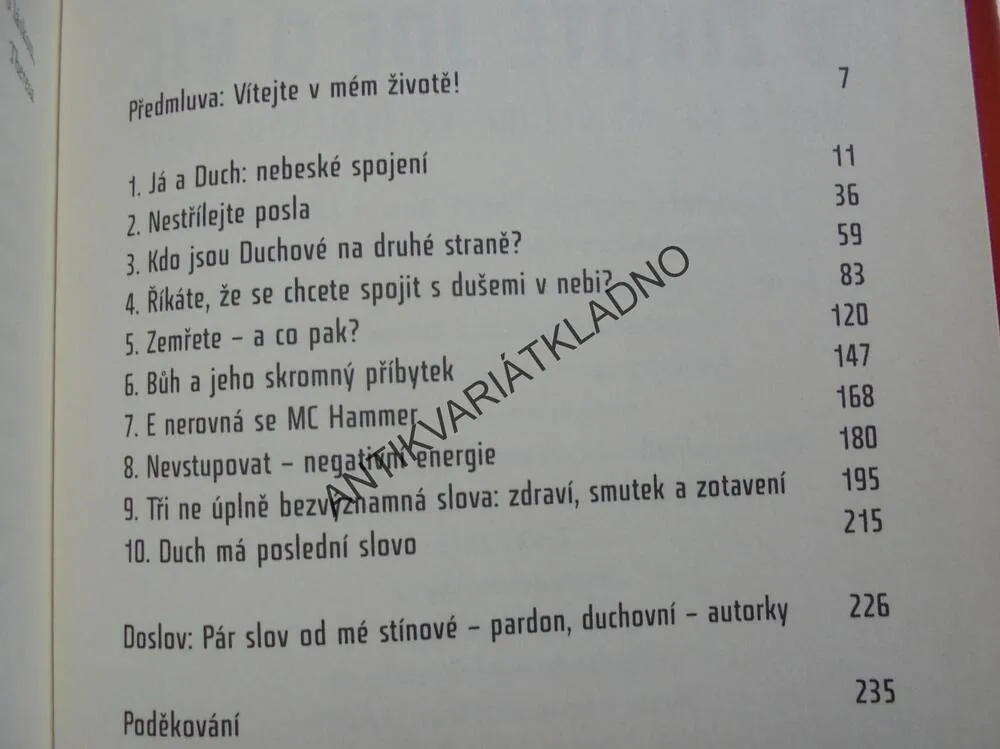 V ŽIVOTĚ JDE O VÍC, THERESA CAPUTOVÁ