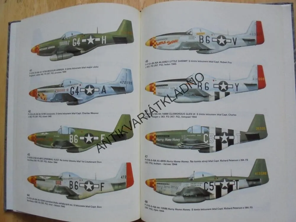 MUSTANGY STÍHACÍCH ES, 8.USAAF, SCUTTS,LETECTVÍ
