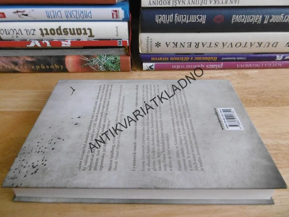 CHLAPEC NA DŘEVĚNÉ BEDNĚ, LEON LEYSON, **an