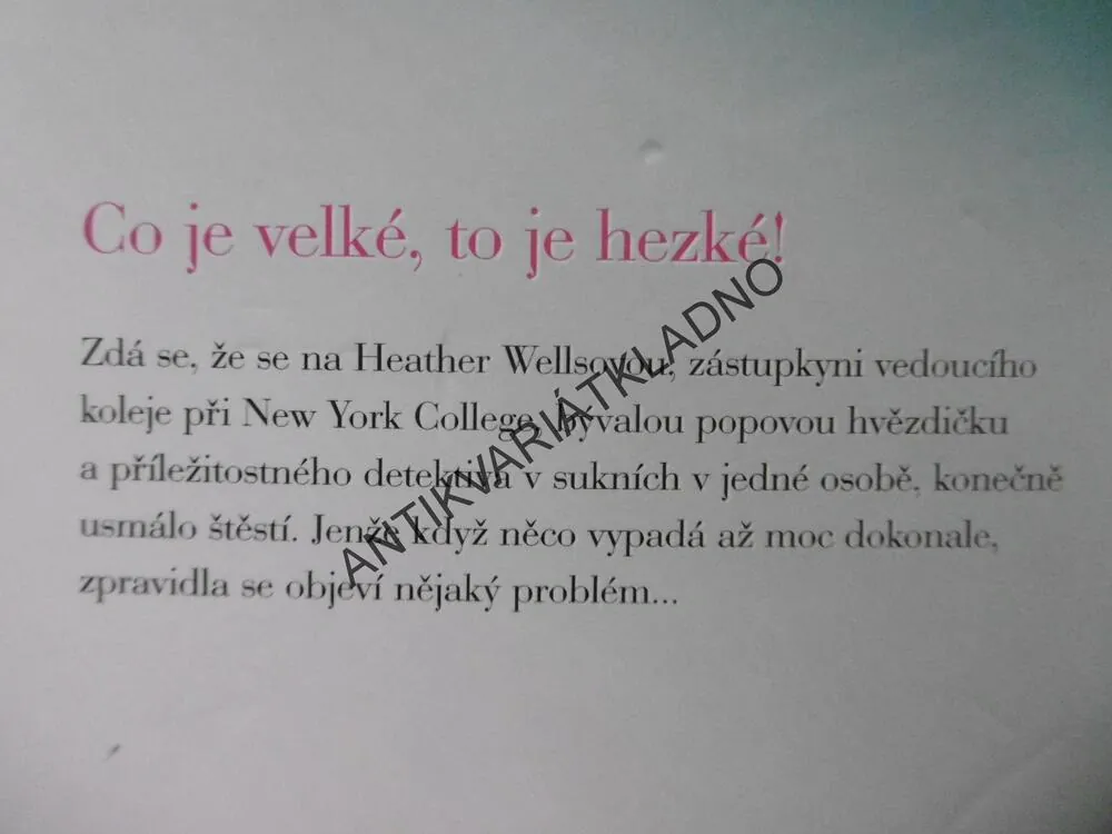 VELIKOST L, ZNOVU NA SCÉNĚ, MEG CABOTOVÁ, **an