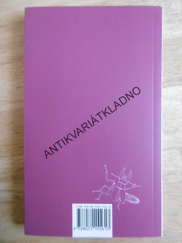 STRUČNÉ DĚJINY HNUTÍ, PETRA HŮLOVÁ, **an
