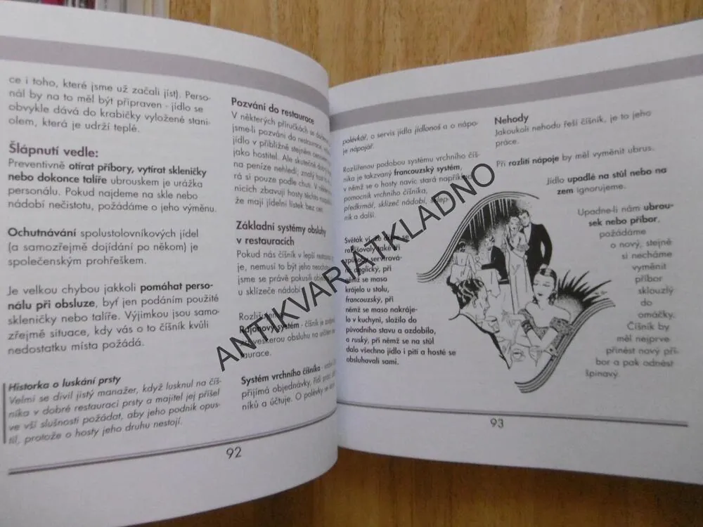 NIKDO NEJSME DOKONALÍ, VLADIMÍR FANTA, **an