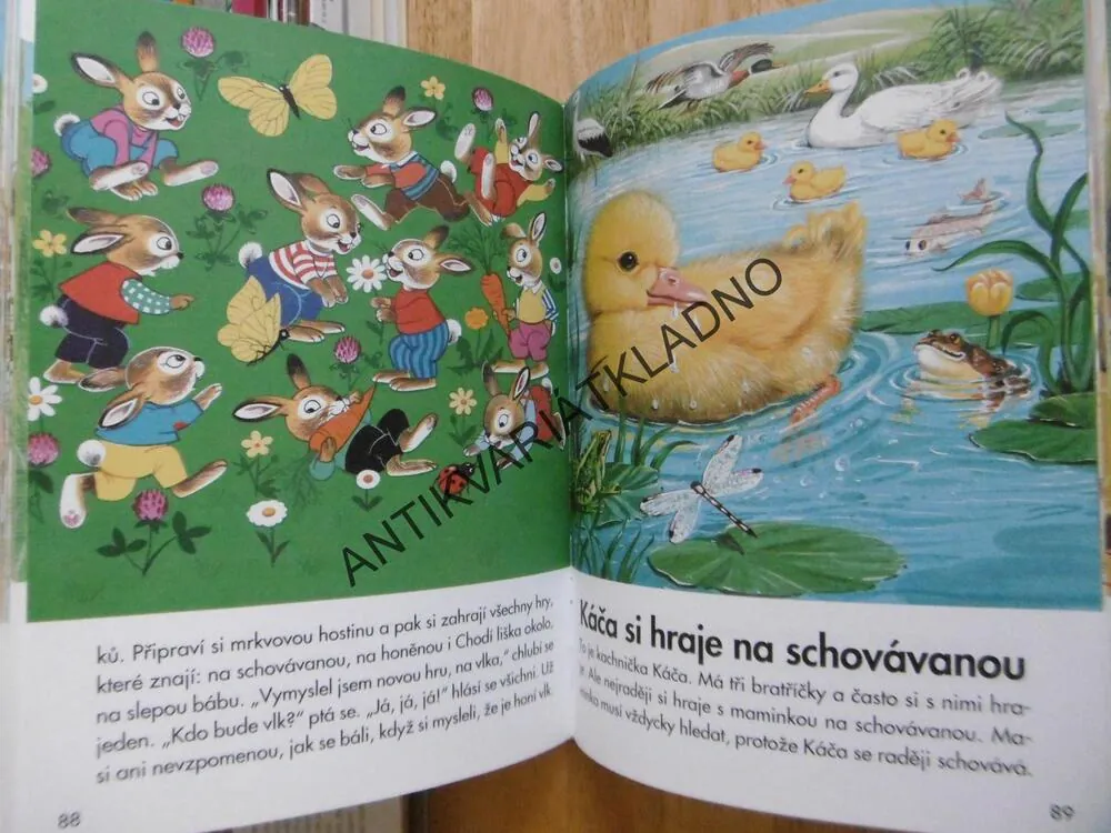 ZAPOMNĚTLIVÝ PUŇTA, **an