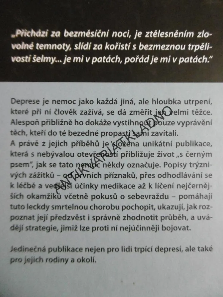 PUTOVÁNÍ S ČERNÝM PSEM, ŽIVOT S DEPRESÍ, TESSA WIGNEYOVÁ, **an