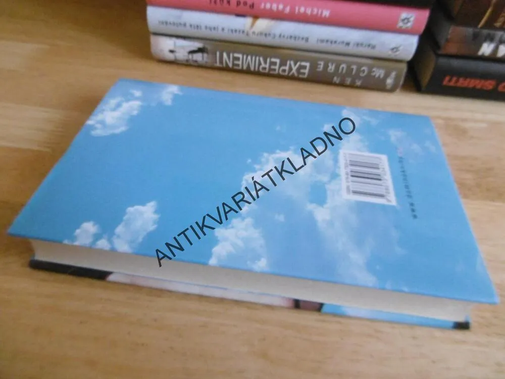 JAK HOVOŘIT S VDOVCEM, JONATHAN TROPPER, **an