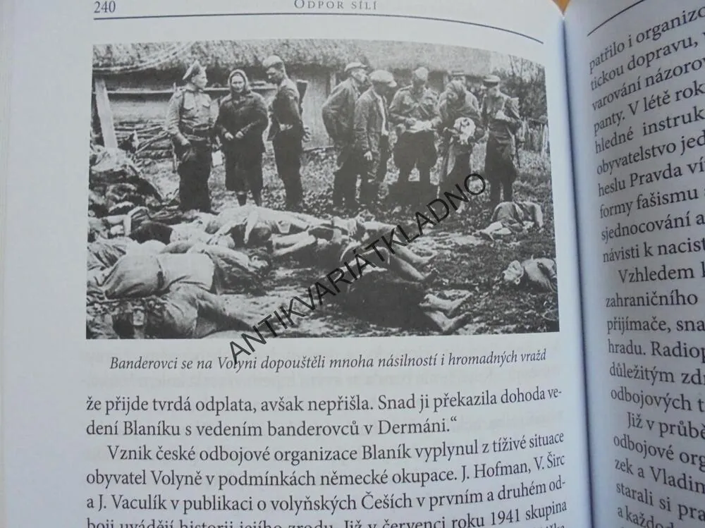 HISTORICKÉ DRAMA VOLYŇSKÝCH ČECHŮ, RICHTER