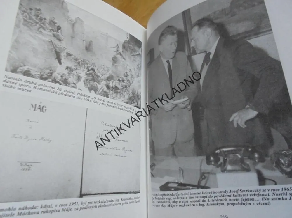 UTAJENÉ PROTOKOLY ANEB GENIÁLNÍ PODVOD, M.IVANOV, **an
