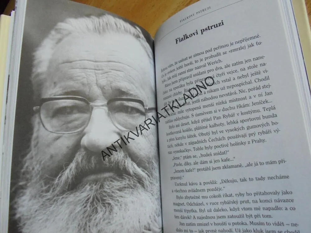 KLAUNOVO VELMI POZDNÍ ODPOLEDNE, JAN WERICH, CHRASTIL
