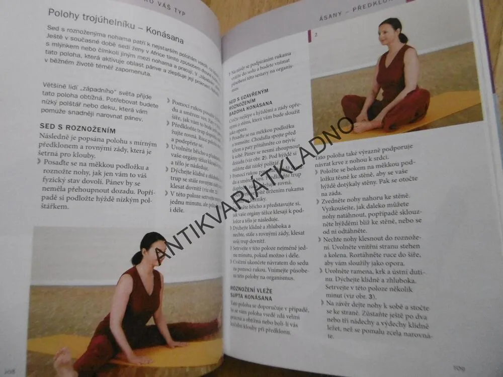 JÓGA PRO ZDRAVÍ, ANNA TRÖKES, DETLEF GRUNERT, **an